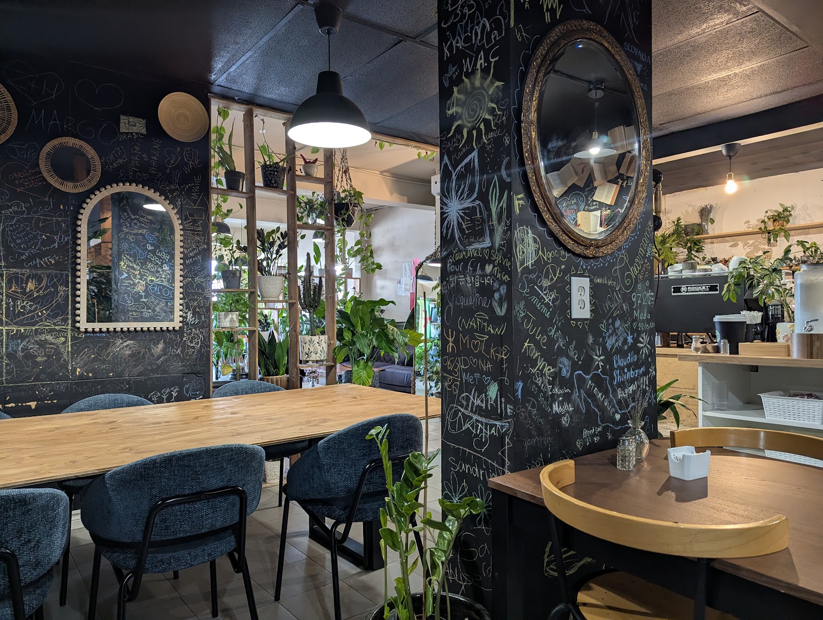Salon du Café T&M, mur d'ardoise couvert de messages à la craie, miroir doré ancien et plantes